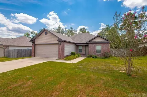 2041 Dandelion Dr, Benton, AR 72019 photo 3