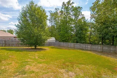 2041 Dandelion Dr, Benton, AR 72019 photo 42