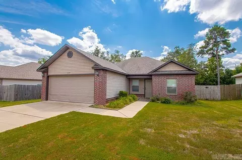 2041 Dandelion Dr, Benton, AR 72019 photo 4