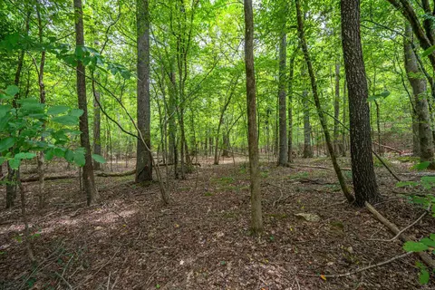 lot32 Deer Run, Malvern, AR 72104 photo 2