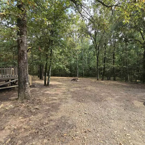 170 Utley Rd E, Dover, AR 72837 photo 11
