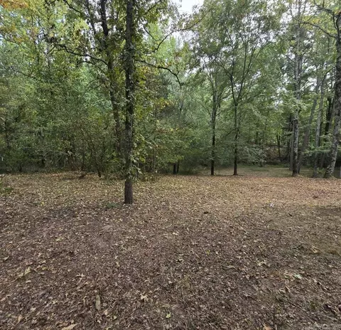 170 Utley Rd E, Dover, AR 72837 photo 10
