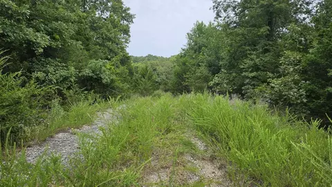 102 N Mother Lode Dr, Horseshoe Bend, AR 72512
