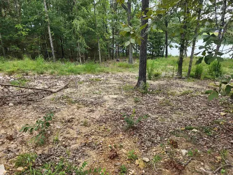2206 Executive Loop, Horseshoe Bend, AR 72513 photo 10