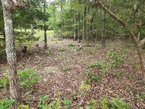 2206 Executive Loop, Horseshoe Bend, AR 72513 photo 28