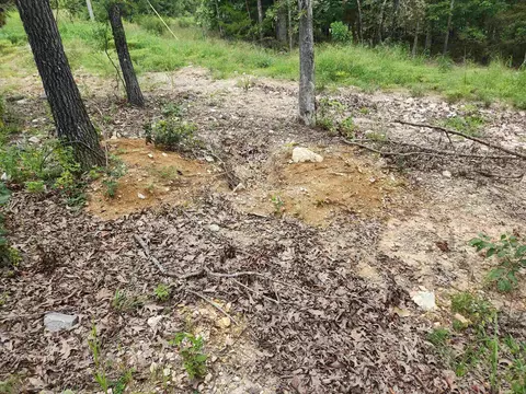 2206 Executive Loop, Horseshoe Bend, AR 72513 photo 9
