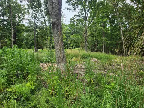 2206 Executive Loop, Horseshoe Bend, AR 72513 photo 23
