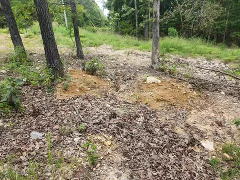 2206 Executive Loop, Horseshoe Bend, AR 72513 photo 8