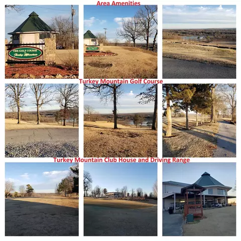 2206 Executive Loop, Horseshoe Bend, AR 72513 photo 38