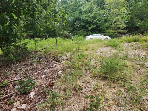 2206 Executive Loop, Horseshoe Bend, AR 72513 photo 6