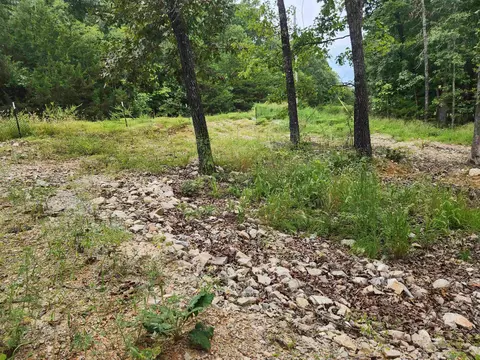2206 Executive Loop, Horseshoe Bend, AR 72513 photo 7
