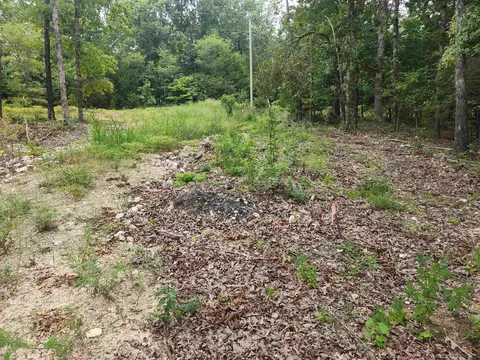 2206 Executive Loop, Horseshoe Bend, AR 72513 photo 13
