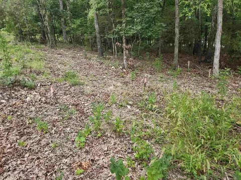 2206 Executive Loop, Horseshoe Bend, AR 72513 photo 12