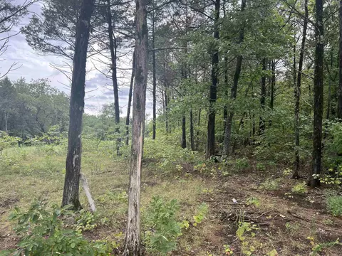 Grassy Gap Road, Harrison, AR 72601 photo 9
