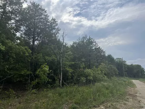 Grassy Gap Road, Harrison, AR 72601 photo 5