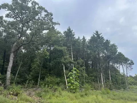 Grassy Gap Road, Harrison, AR 72601 photo 12
