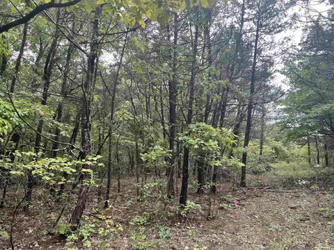 Grassy Gap Road, Harrison, AR 72601 photo 6