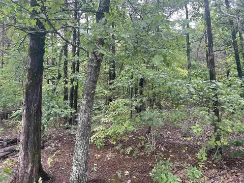 Grassy Gap Road, Harrison, AR 72601 photo 10