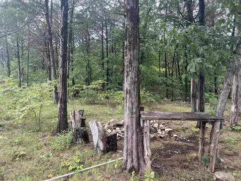 Grassy Gap Road, Harrison, AR 72601 photo 3
