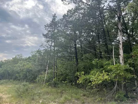 Grassy Gap Road, Harrison, AR 72601 photo 11