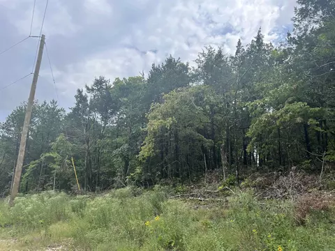 Grassy Gap Road, Harrison, AR 72601 photo 2