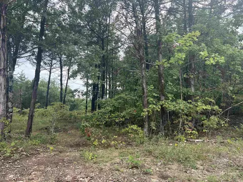 Grassy Gap Road, Harrison, AR 72601 photo 4