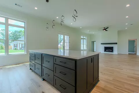 3088 Province Dr, Benton, AR 72019 photo 13