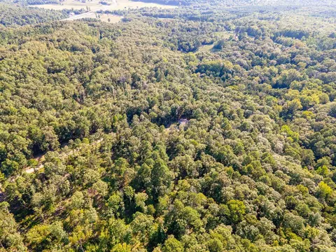 598 Pebble Dr, Clinton, AR 72031 photo 26