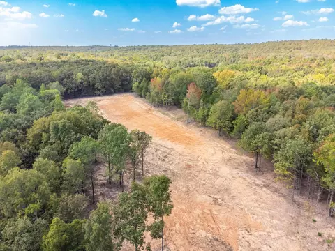 3 Wilderness, Greenbrier, AR 72058 photo 17