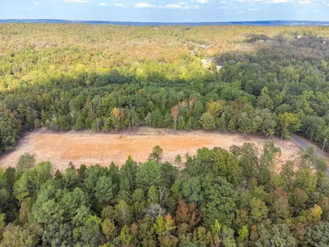 3 Wilderness, Greenbrier, AR 72058 photo 19