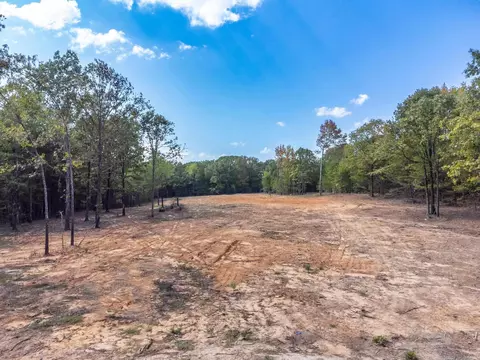 3 Wilderness, Greenbrier, AR 72058 photo 14