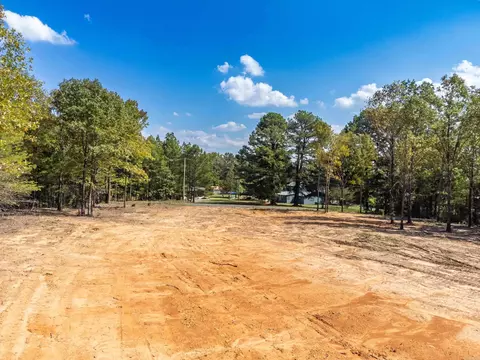 3 Wilderness, Greenbrier, AR 72058 photo 11