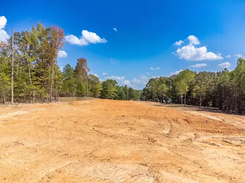 3 Wilderness, Greenbrier, AR 72058 photo 9