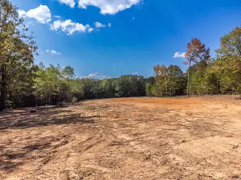 3 Wilderness, Greenbrier, AR 72058 photo 13