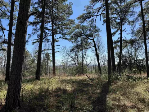 87 Laramie, Greenbrier, AR 72058 photo 35