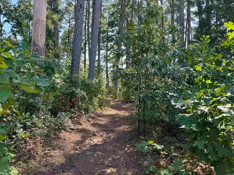 87 Laramie, Greenbrier, AR 72058 photo 33