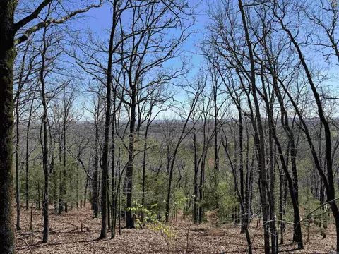 87 Laramie, Greenbrier, AR 72058 photo 39