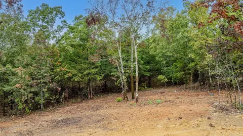 212 Blackjack Rd, Greenbrier, AR 72058 photo 39