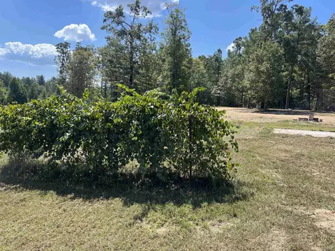 7515 Samuel Rd, Pine Bluff, AR 71603 photo 5