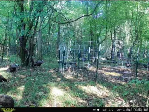 4430 Rye Cutoff, Rison, AR 71665 photo 31