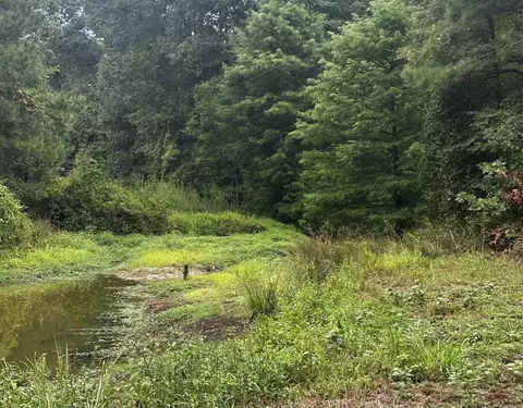 4430 Rye Cutoff, Rison, AR 71665 photo 27