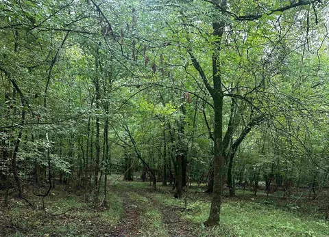4430 Rye Cutoff, Rison, AR 71665 photo 34