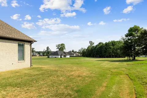 4081 Vineyard Way, Alexander, AR 72002 photo 40