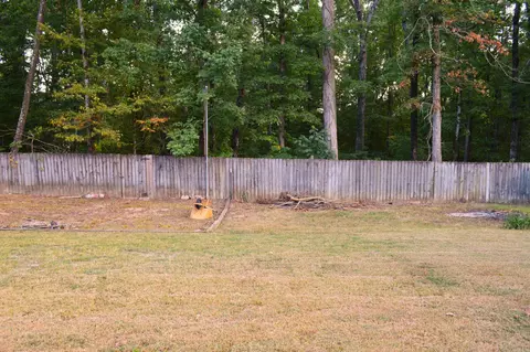 2513 Eagle Run, Benton, AR 72015 photo 4