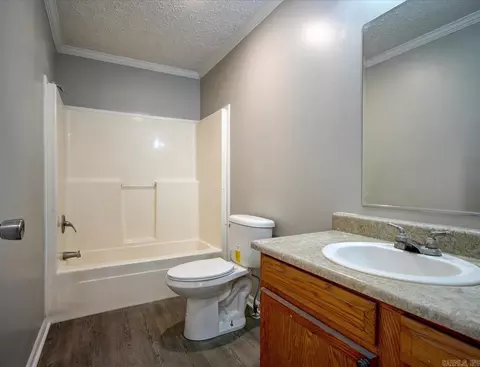 227 Birch, Mount Ida, AR 71957 photo 16