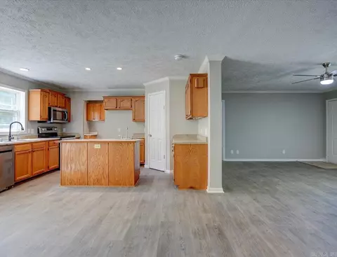 227 Birch, Mount Ida, AR 71957 photo 5