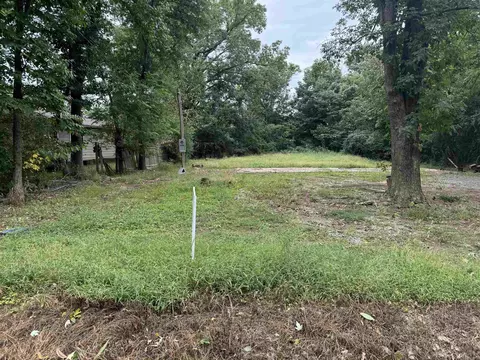 48 Lawrence Landing Rd, Conway, AR 72032 photo 1