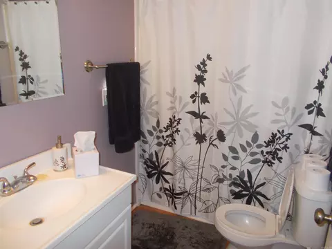 16325 Chicot Rd, Mabelvale, AR 72103 photo 7