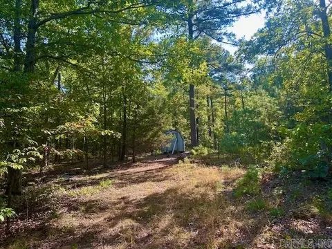 825 Piney Rd, Shirley, AR 72153