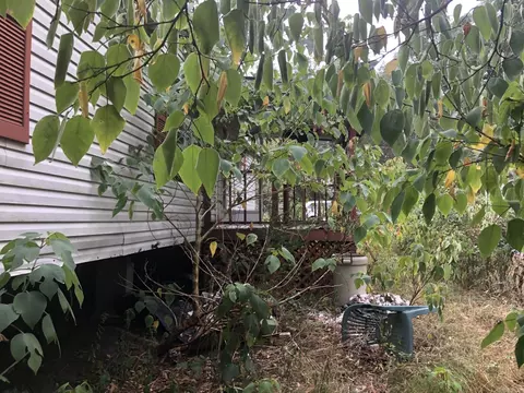 616 Section Line St, Malvern, AR 72104 photo 36